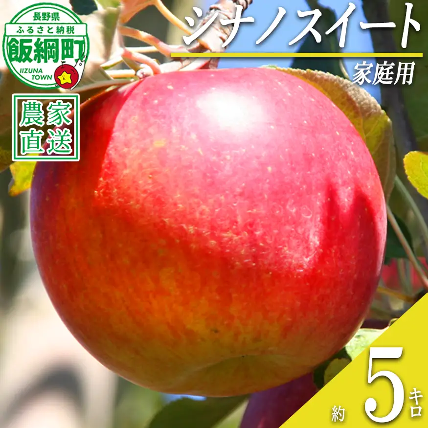 りんご シナノスイート 家庭用 5kg ファームたんぽぽ 2026年10月下旬頃から2026年11月上旬頃まで順次発送予定 令和8年度収穫分 信州 果物 フルーツ リンゴ 林檎 長野 予約 農家直送 長野県 飯綱町 [0733]