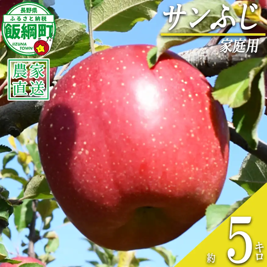 りんご サンふじ 家庭用 5kg ファームたんぽぽ 沖縄県への配送不可 2026年12月上旬頃から2027年1月下旬頃まで順次発送予定 令和8年度収穫分 信州 果物 フルーツ リンゴ 林檎 長野 予約 農家直送 長野県 飯綱町 [0735]