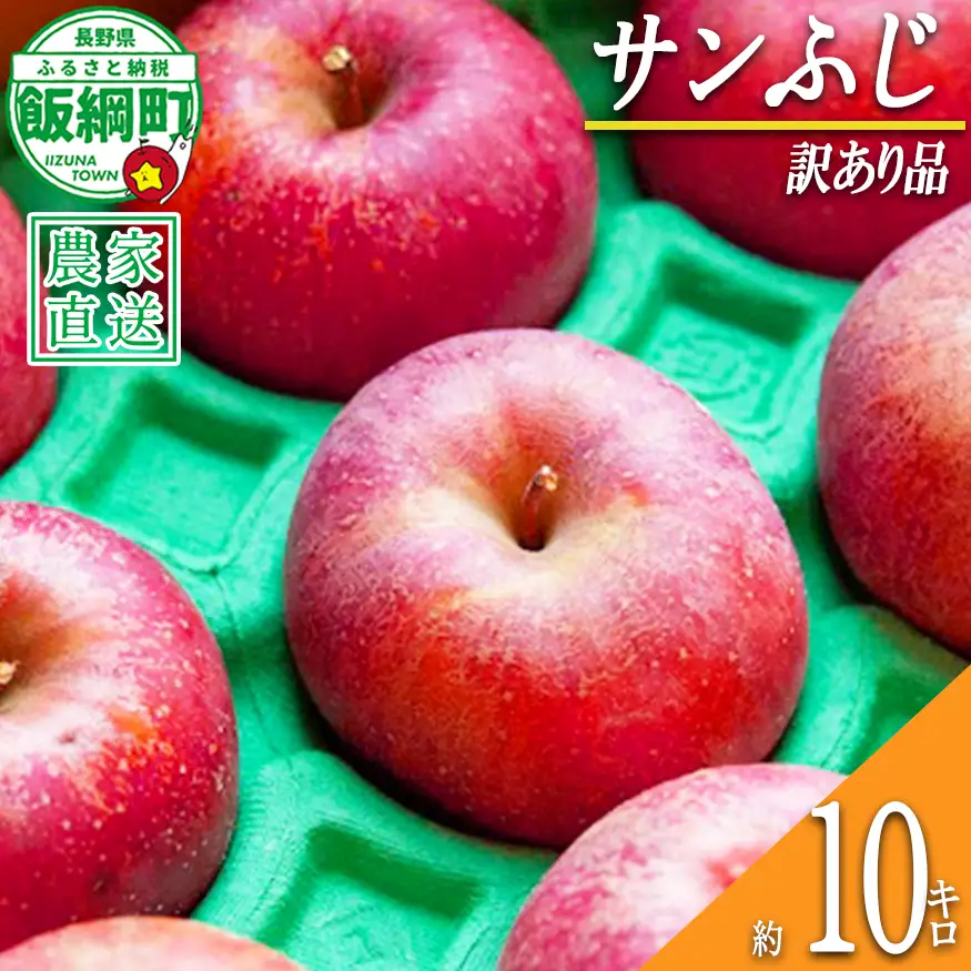 りんご サンふじ 訳あり 10kg ファームたんぽぽ 2026年12月上旬頃から2027年1月下旬頃まで順次発送予定 令和8年度収穫分 信州 果物 フルーツ リンゴ 林檎 長野 予約 農家直送 長野県 飯綱町 [0554]
