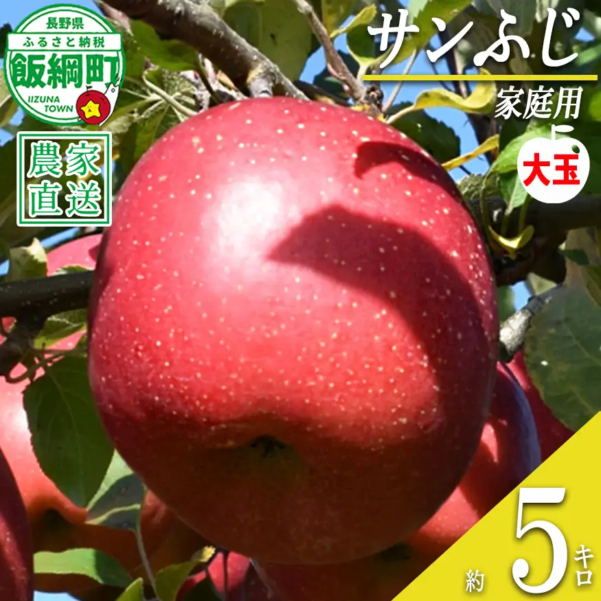 りんご サンふじ ( 大玉 ) 家庭用 5kg ファームたんぽぽ 沖縄県への配送不可 2026年12月上旬頃から2027年1月下旬頃まで順次発送予定 令和8年度収穫分 信州 果物 フルーツ リンゴ 林檎 長野 予約 農家直送 長野県 飯綱町 [0613]