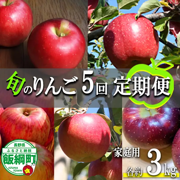 旬のりんご 【 定期便 】 家庭用 3kg × 5回 ファームたんぽぽ 沖縄県への配送不可 2026年9月上旬頃から2026年12月中旬頃まで順次発送予定 令和8年度収穫分 信州 果物 フルーツ リンゴ 林檎 長野 予約 農家直送 長野県 飯綱町 [0736]
