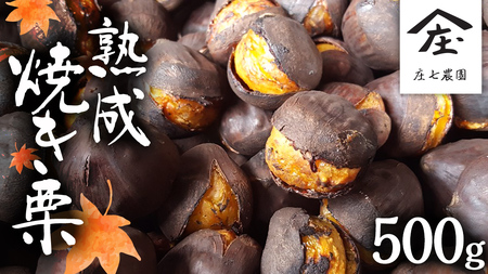 庄七農園 限定 熟成 焼き栗 500g 【 10月から順次お届け 】 栗 くり 焼栗 おやつ スイーツ 茨城 和栗 美味しい 果物 フルーツ