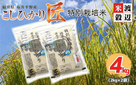 【令和7年産】（玄米） 特別栽培米 コシヒカリ匠 4kg (2kg × 2袋) 栽培期間中農薬不使用 / コシヒカリ こしひかり 白米 お米[B-2947_02]