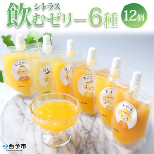 シトラス飲むゼリー12個セット UUB0028