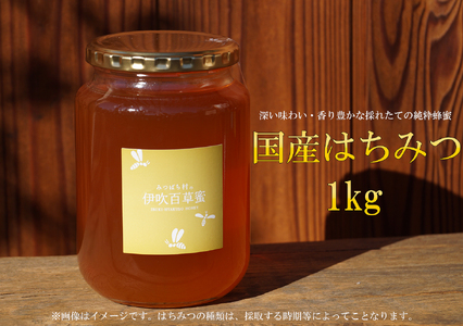 国産はちみつ1000g 2025/9/19～