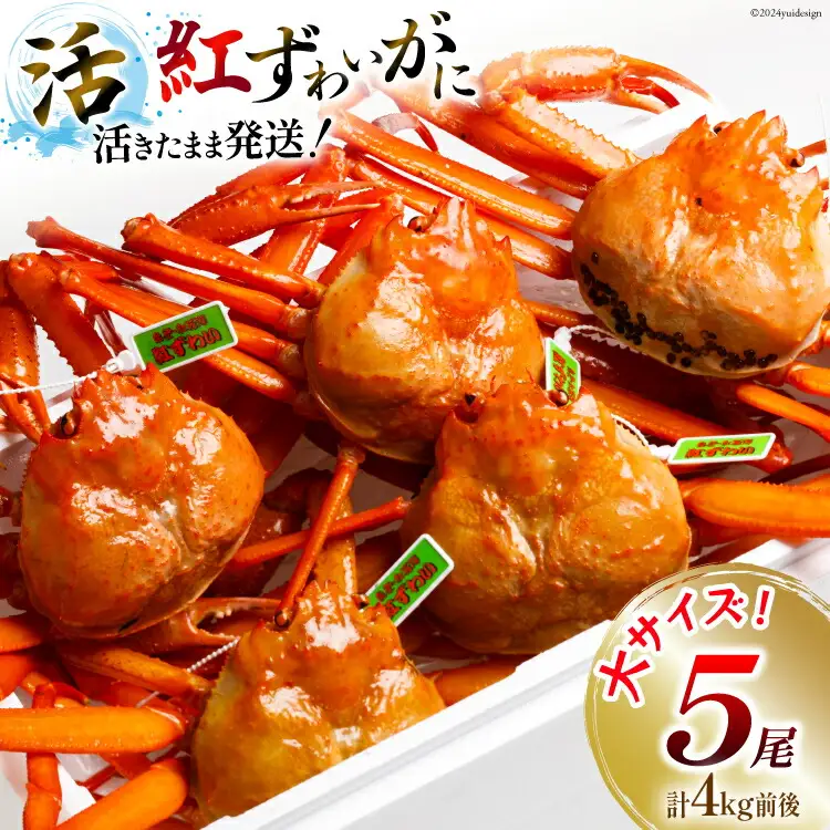 【能登半島 漁協直送】 活 紅ズワイガニ 5尾(大サイズ) 計 4kg 前後 [JF西海 石川県 志賀町 AM4221]
