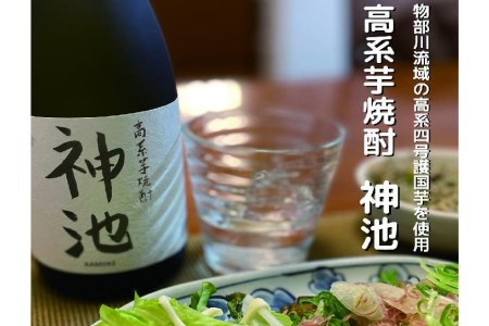 高系芋 焼酎 神池 25度 720ml 2本入