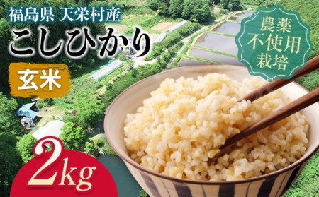 ＜2025年12月上旬以降発送＞自然農法で育ったお米「こしひかり」玄米2kg コシヒカリ 米 お米 ブランド米 銘柄米 備蓄 日本米 こしひかり コメ ごはん ご飯 食品 F21T-142
