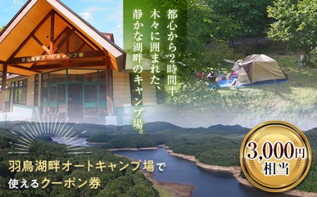 羽鳥湖畔オートキャンプ場で使えるクーポン券（3,000円相当） F21T-165