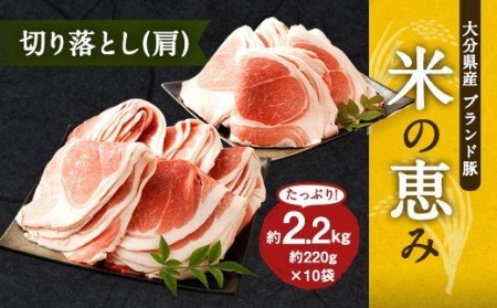 大分県産ブランド豚「米の恵み」肩切り落とし 約2.2kg 220g×10袋 小分け