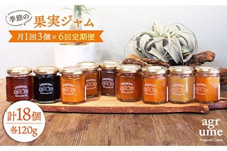 【全6回定期便】 季節の果実ジャム 毎月3本（120g/本） 長与町/アグリューム [EAI008]  瓶 個別 セット ジャム