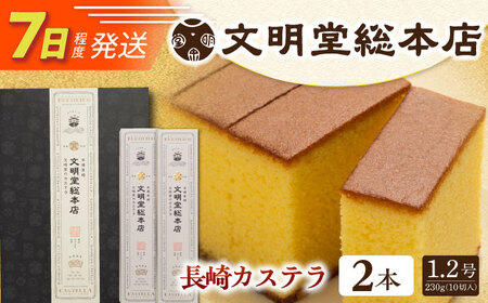 7日発送）長崎カステラ2本[EAK026]カステラ
