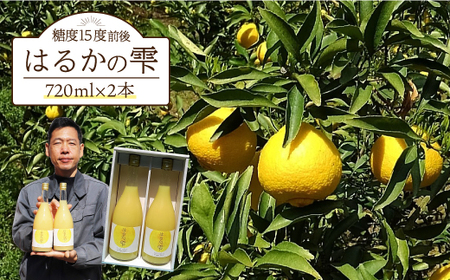 はるかの雫2本[EAZ001]  みかん ミカン ジュース 果物 フルーツ
