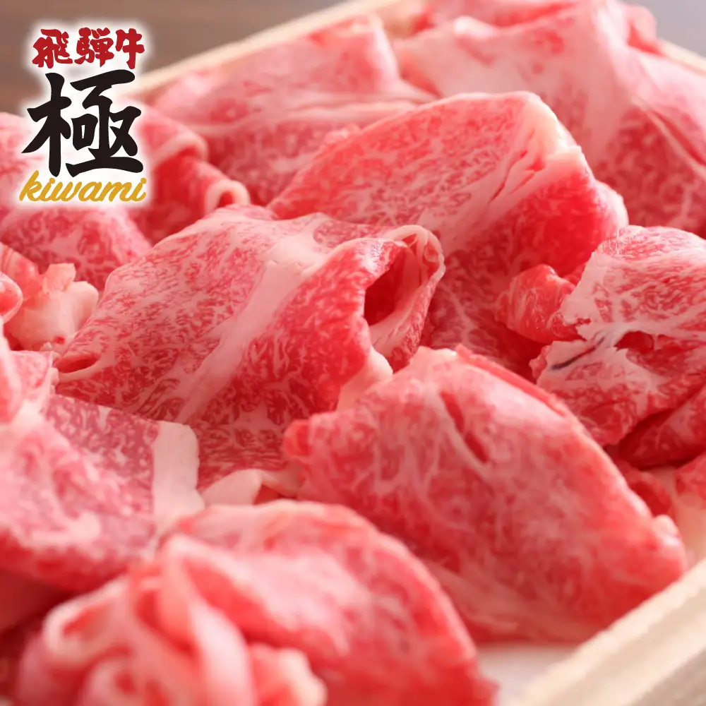飛騨牛 切り落とし 牛肉 500g 牛肉 FN-Limited-SP