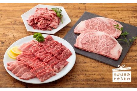 《内閣総理大臣賞の黒毛和牛》宮崎牛キングセット(2.6kg)　TF0287-P00020