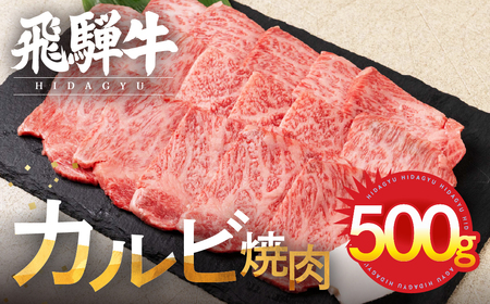 飛騨牛 カルビ焼肉 500g 冷凍 焼き肉 JAひだ 飛騨牛 [Q3002]
