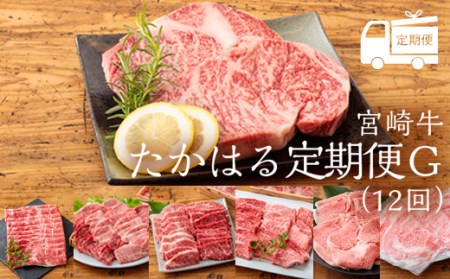 国産ブランド牛の定期便『宮崎牛たかはる定期便G』(12回) TF0400-P00020