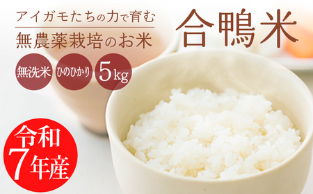 【令和7年産】無農薬栽培 合鴨米ひのひかり(無洗米)5kg　TF0422-P00029