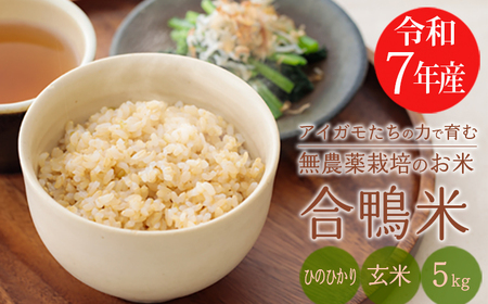 【令和7年産】無農薬栽培 合鴨米ひのひかり(玄米)5kg 高原町のお米　TF0424-P00029