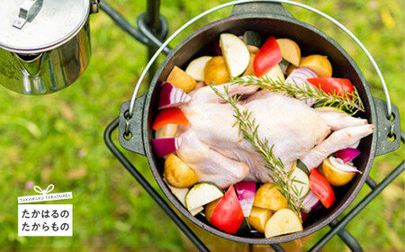 より鶏みどりBBQセット バーベキューに最適な国産味付きチキン6種のバラエティ豊かなセット 焼くだけ時短調理 [鶏肉 お肉 時短料理 キャンプ] TF0474-P00033