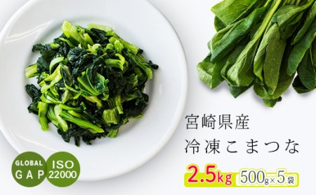 国産『冷凍小松菜』2.5kg(500g×5袋)  グローバルGAP取得の小松菜 TF0478-P00019