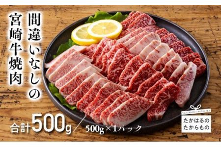 宮崎牛焼肉用(500g)　TF0556-P00020