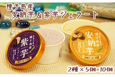 種子島 産 安納芋 紫芋 ジェラート 10個 セット　NFN146【400pt】 