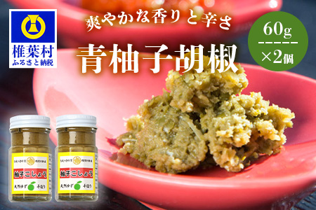 【椎葉村産天然ゆず・唐辛子使用】青柚子胡椒 2本×60g 柚子胡椒 柚子こしょう 青柚子胡椒 柚子 天然ゆず 調味料 薬味 うどん 餃子 HF-84