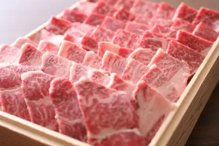 飛騨牛 がっつりカルビ 焼肉 500g [Q3116] カルビ
