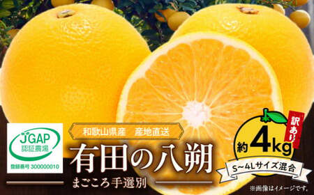 【2027年先行予約】和歌山県産 有田の八朔 (はっさく)【訳あり 家庭用】約4kg【S～4Lサイズ混合】まごころ手選別 _ZE6379n
