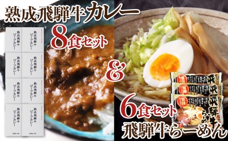 熟成ビーフカレー８食＆飛騨牛ラーメン６食セット［D0039pi］