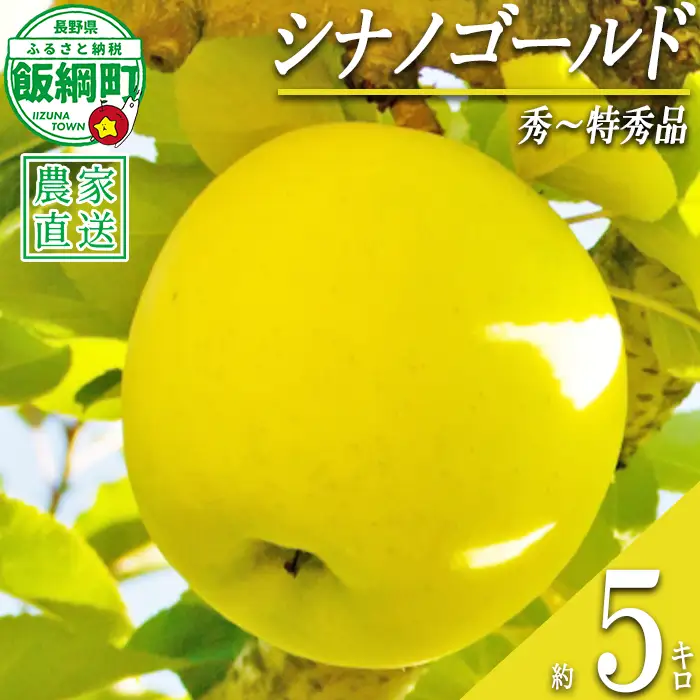 りんご シナノゴールド 秀 ～ 特秀 5kg 永正の地蔵尊神谷農園 沖縄県への配送不可 2026年11月中旬頃から2026年12月下旬頃まで順次発送予定 令和8年度収穫分 信州 果物 フルーツ リンゴ 林檎 長野 予約 農家直送 長野県 飯綱町 [1253]