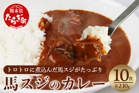 馬スジのカレー 10食 セット 合計2.1kg 【カレー レトルト レトルトカレー 馬すじ 馬スジ 馬 すじ スジ 時短 人気 熊本県 多良木町】 031-0423
