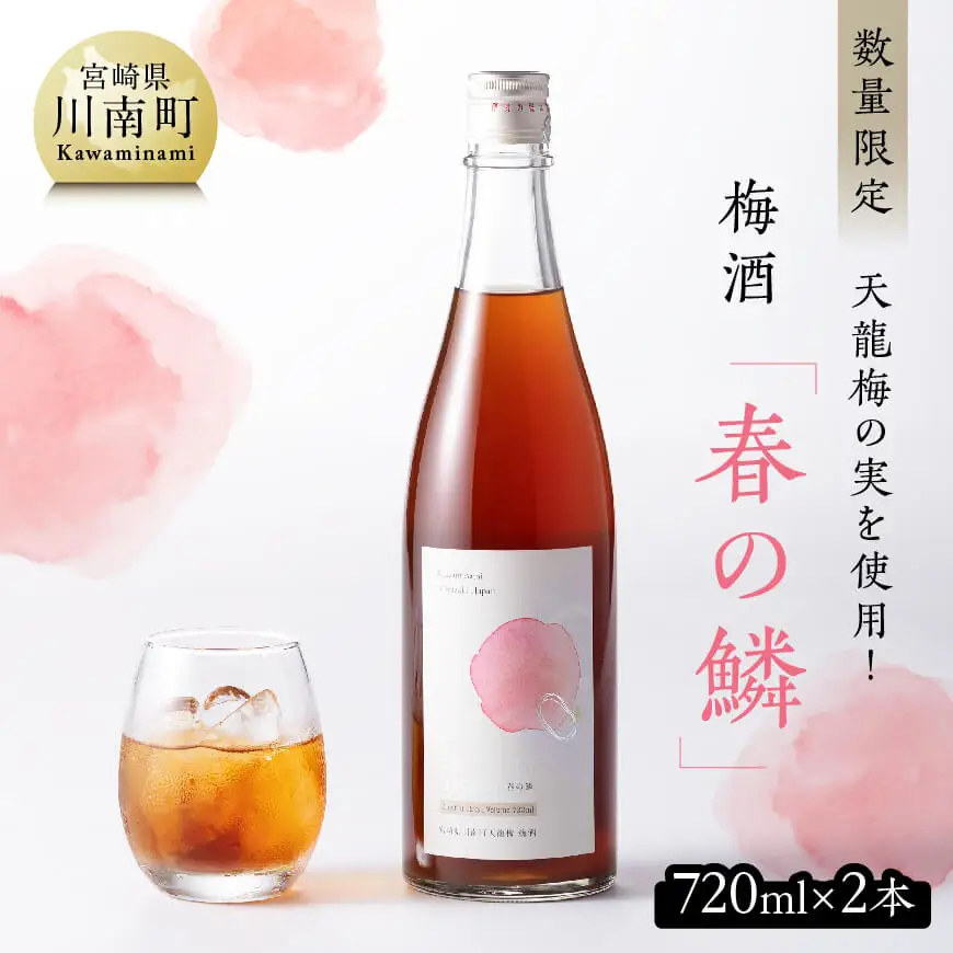 【数量限定】天龍梅の実を使用！オリジナル梅酒「春の鱗」（720ml×2本）