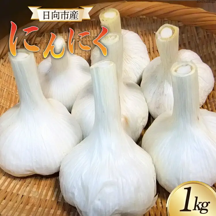 【期間限定発送】 にんにく 国産 1kg [甲斐自然派農園 宮崎県 日向市 452060131]