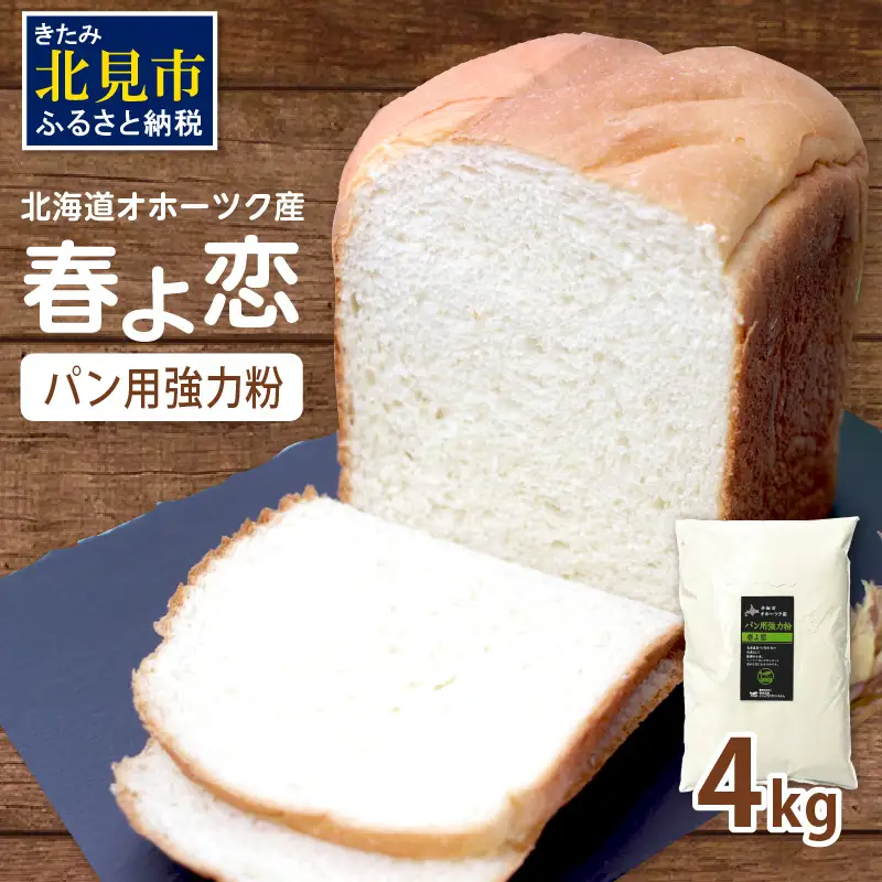 【北海道オホーツク産】パン用強力粉 春よ恋 4kg　※賞味期限30日保証 ( パン用強力粉 北海道産 小麦粉 パン 製パン )【056-0017】