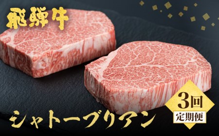 《3回定期便》5等級飛騨牛シャトーブリアン 定期便[Q1120nx]