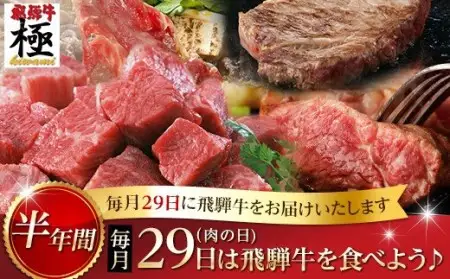 半年定期便 肉の日定期便 飛騨牛 極 [L0008]