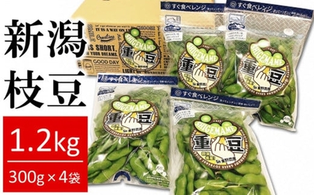 【先行予約】枝豆 肴豆 1.2kg（300g×4袋） 新潟県産 えだまめ 袋ごとレンジで加熱「重豆」【数量限定】[ZA079]