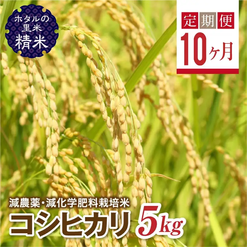  ＜定期便10ヶ月＞【ホタルの里米】環境に配慮し農薬を減らした栽培米 コシヒカリ精米5kg  F4D-2276