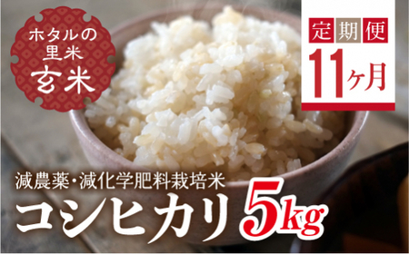  ＜定期便11ヶ月＞【ホタルの里米】環境に配慮し農薬を減らした栽培米 コシヒカリ玄米5kg  F4D-2289
