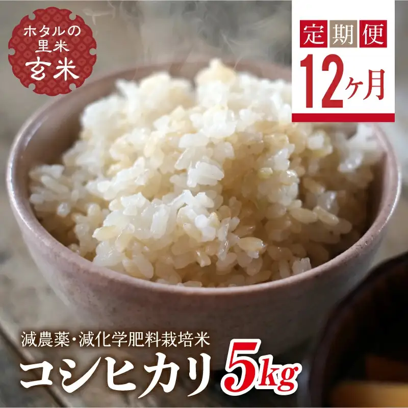  ＜定期便12ヶ月＞【ホタルの里米】環境に配慮し農薬を減らした栽培米 コシヒカリ玄米5kg  F4D-2290