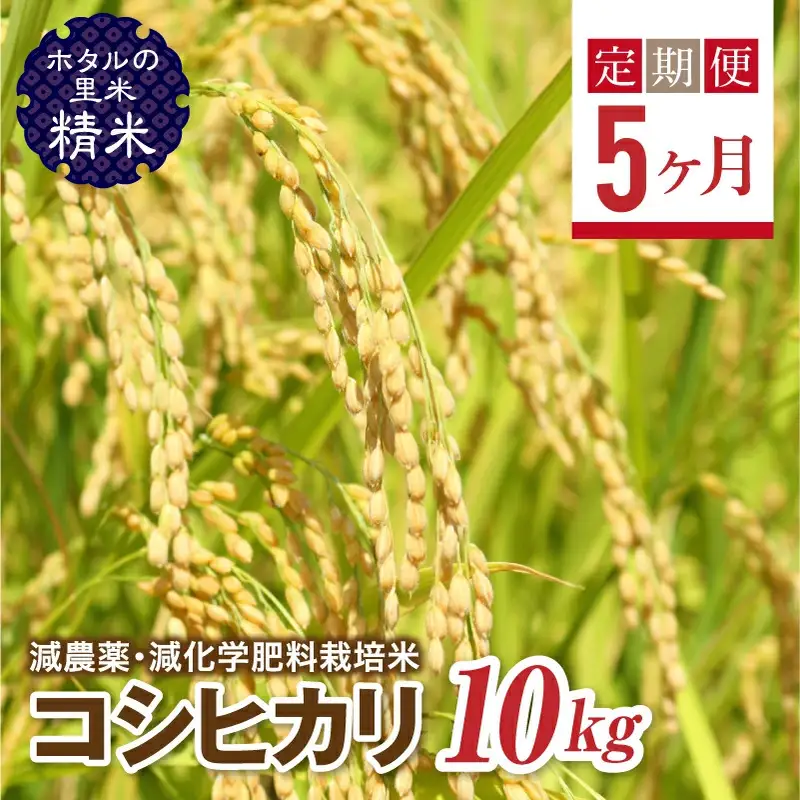  ＜定期便5ヶ月＞【ホタルの里米】環境に配慮し農薬を減らした栽培米 コシヒカリ精米10kg  F4D-2295