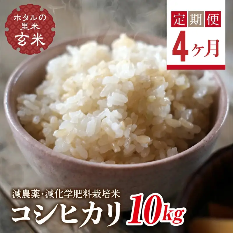  ＜定期便4ヶ月＞【ホタルの里米】環境に配慮し農薬を減らした栽培米 コシヒカリ玄米10kg  F4D-2306