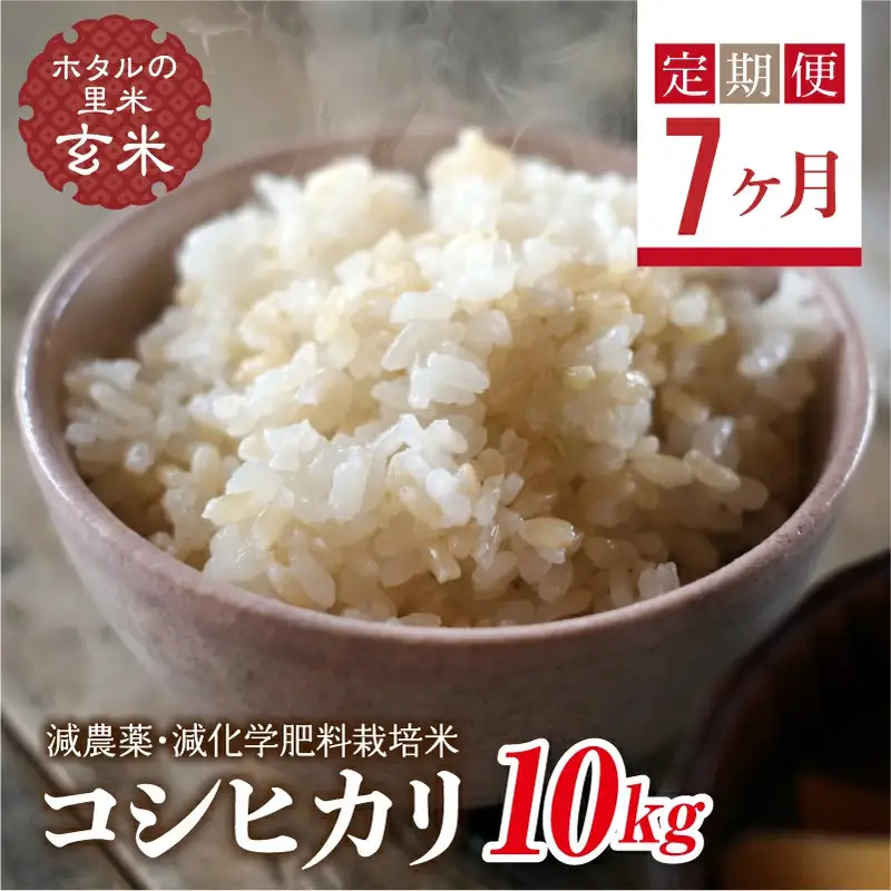  ＜定期便7ヶ月＞【ホタルの里米】環境に配慮し農薬を減らした栽培米 コシヒカリ玄米10kg  F4D-2309