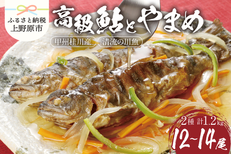 Bセット「甲州桂川の鮎とやまめ」