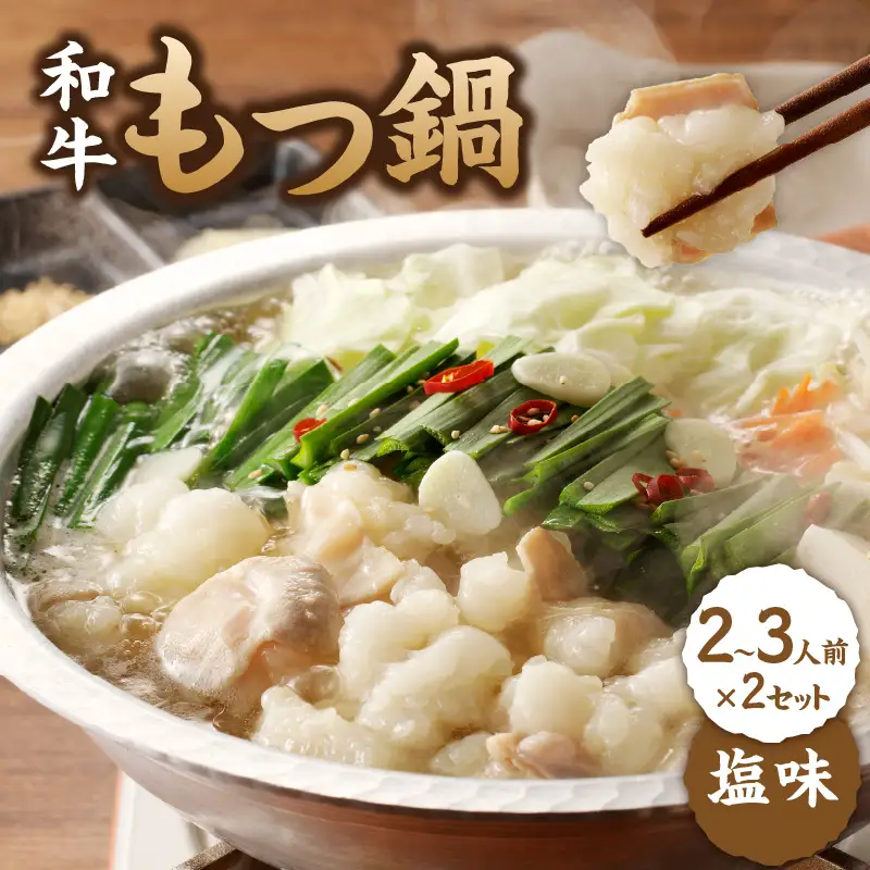 国産和牛もつ鍋（塩味）2～3人前×2セット ／ ちゃんぽん麺 もつ鍋【B067】
