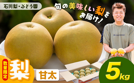 【先行予約・数量限定】甘太 梨 5kg 石川梨・ぶどう園 果物 フルーツ 贈り物 お取り寄せ フルーツ 【配送不可地域あり】（離島）
