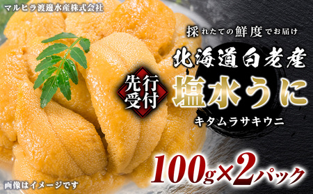 2026年 発送予約 ウニ本来の味が楽しめる【白老産】塩水ムラサキウニ 100g×2パック BT008
