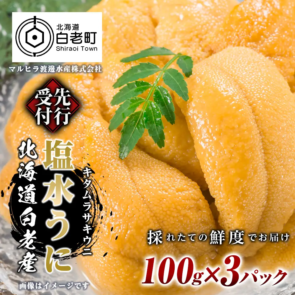 2026年 発送予約 ウニ本来の味が楽しめる【白老産】塩水ムラサキウニ 100g×3パック BT009